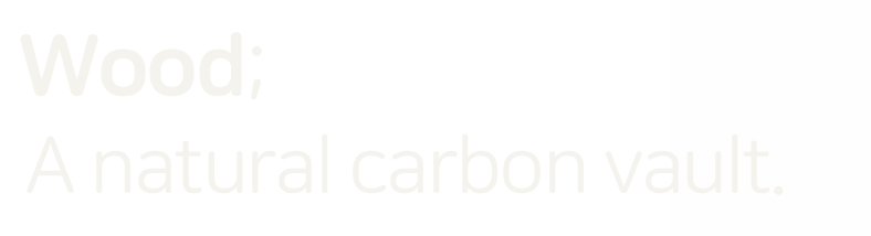핀란디아  Wood;  A natural carbon vault.
