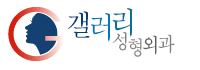 갤러리성형외과의원