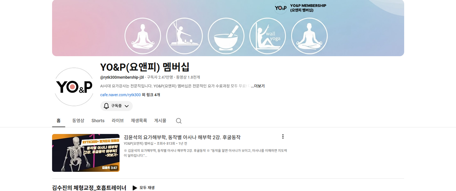 YO&P(요앤피) 멤버십 유튜브 채널 대표 사진