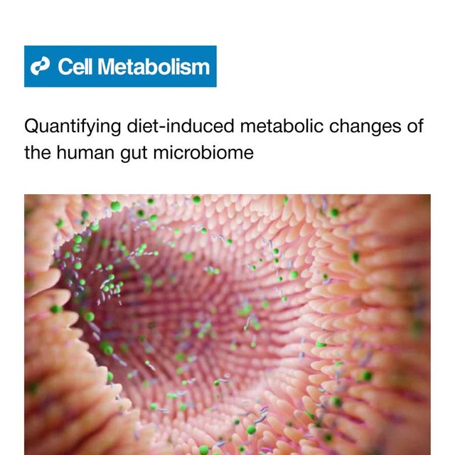 인간 장내 마이크로바이옴의 식이 유발 대사 변화 정량화 — Cell Press 논문