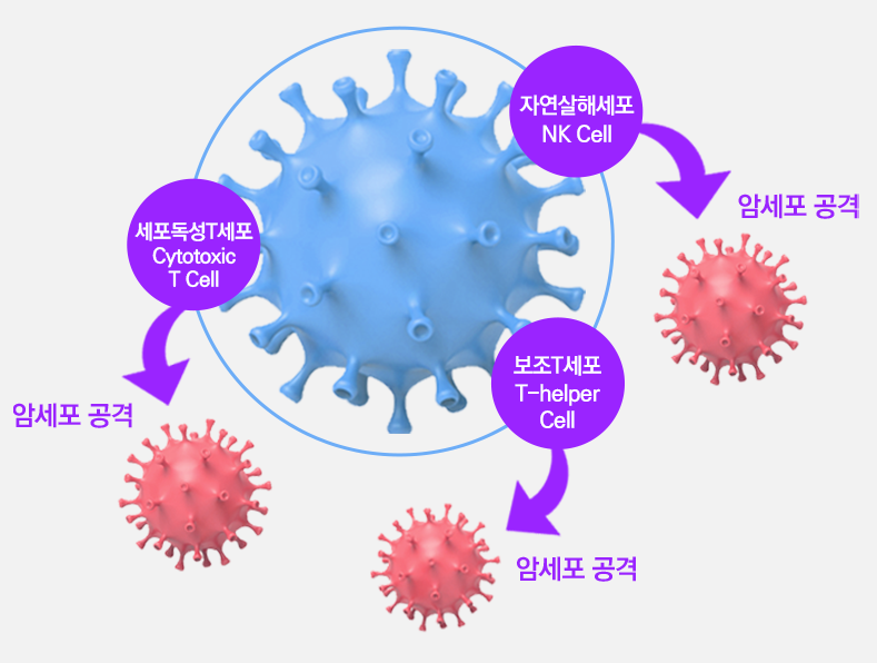 싸이모신알파 이미지