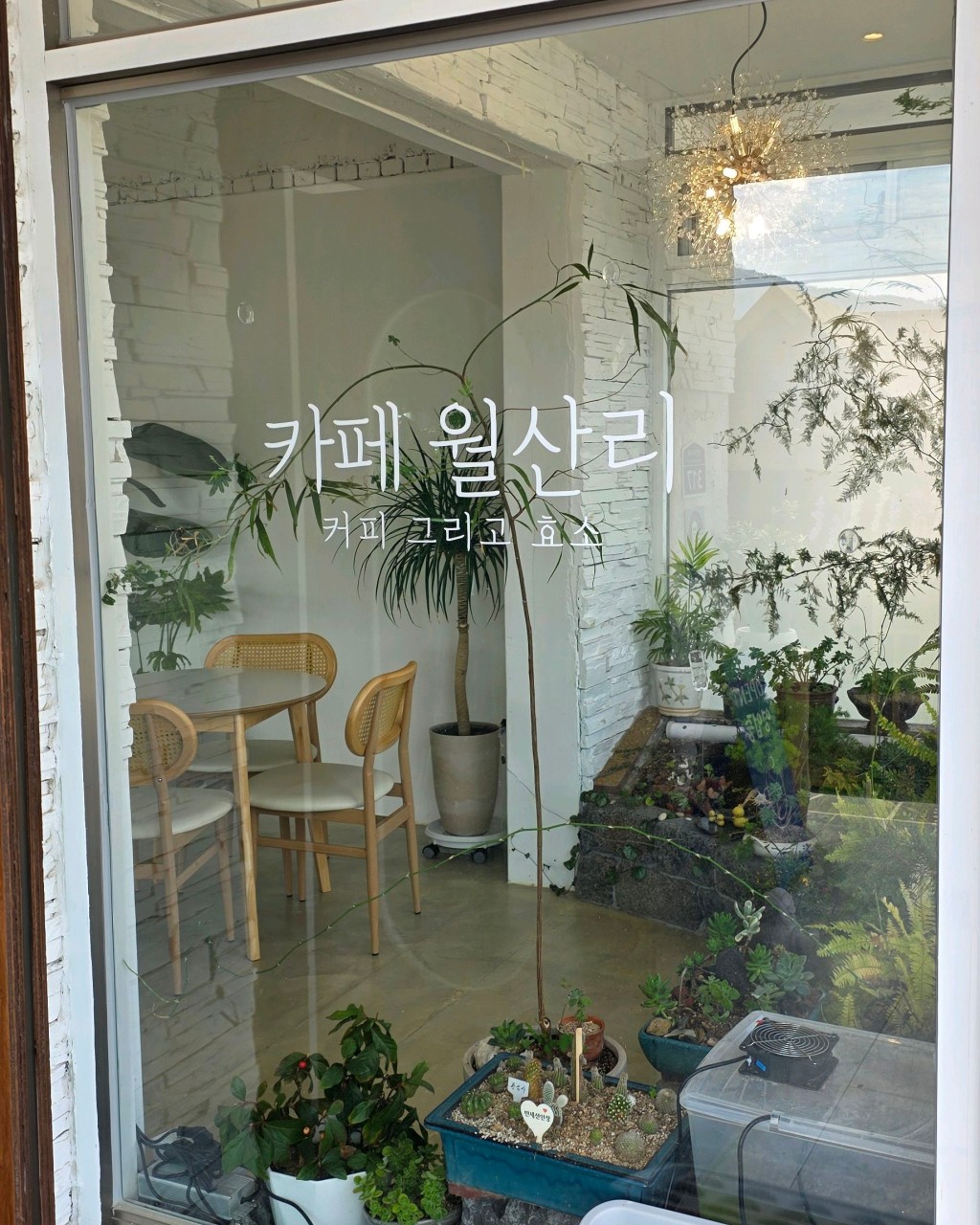 카페월산리