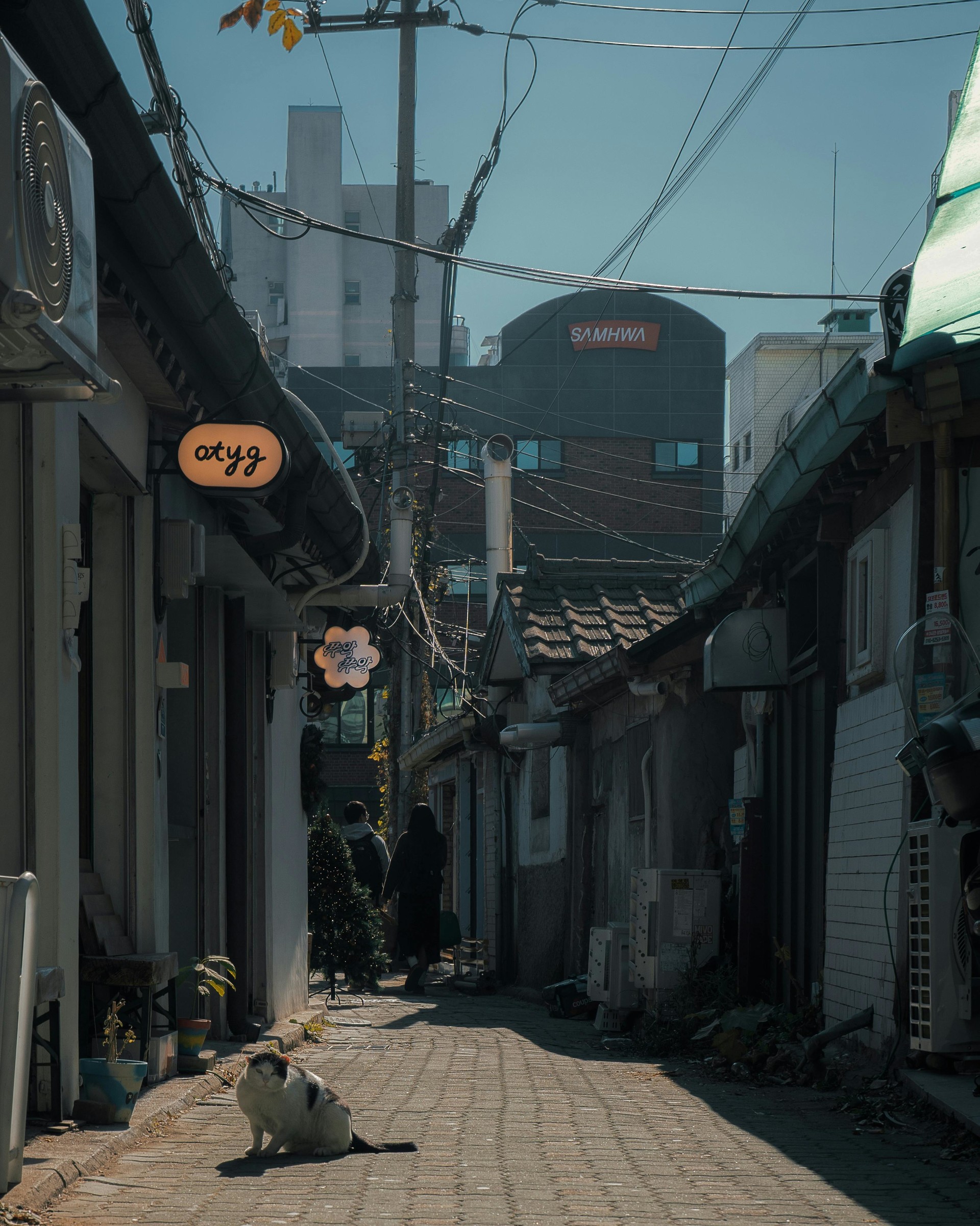 추천 제품 1