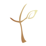 진리와자유 공동체 교회