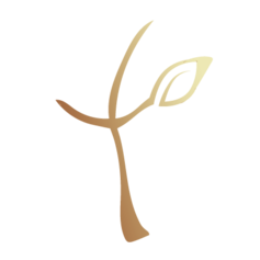 진리와자유 공동체 교회