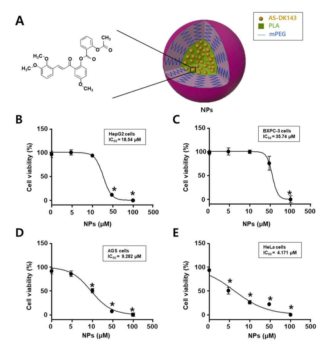 고분자 나노입자 제형화 