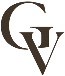 GV PLASTIC SURGERY