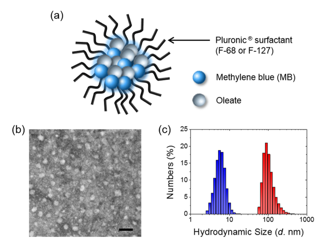 BBB 투과율을 높인 나노복합체의 구조 모식도