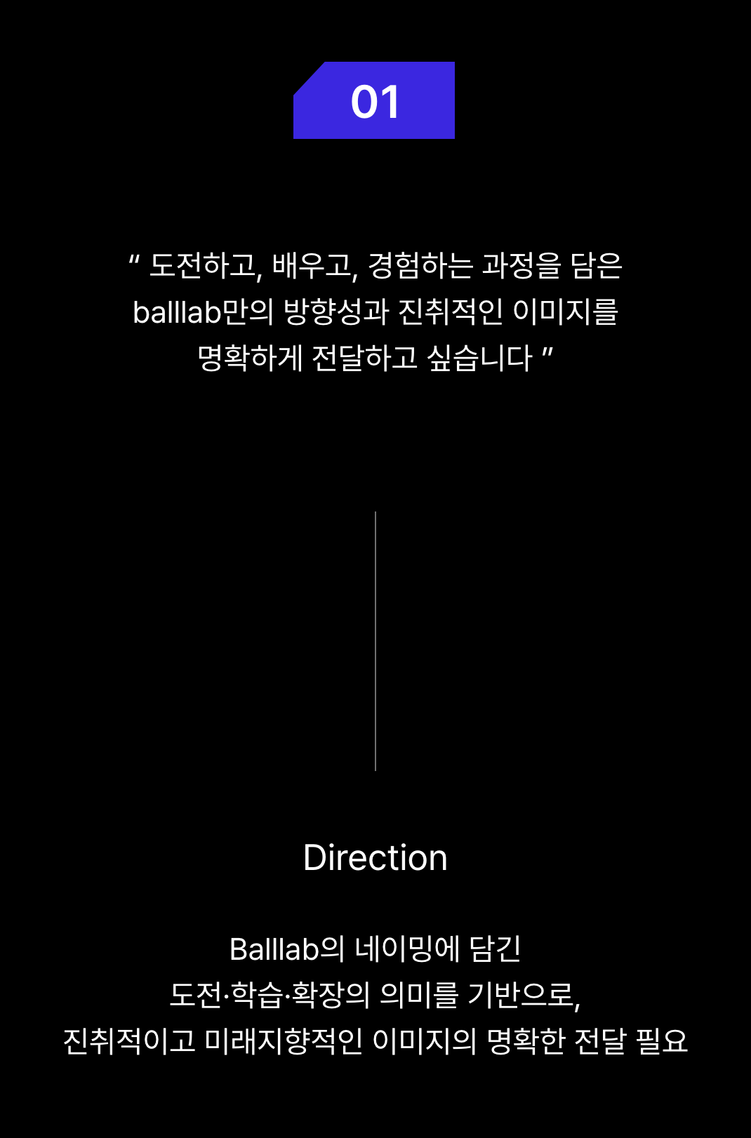 우와스튜디오, 로고제작, 브랜딩, 기업로고, 펫브랜드, 펫브랜딩, 반려동물브랜딩, 캐릭터제작, 캐릭터디자인, 캐릭터 브랜딩, 리브랜딩, 종합디자인업체, uwastudio, 보니코, bonico
