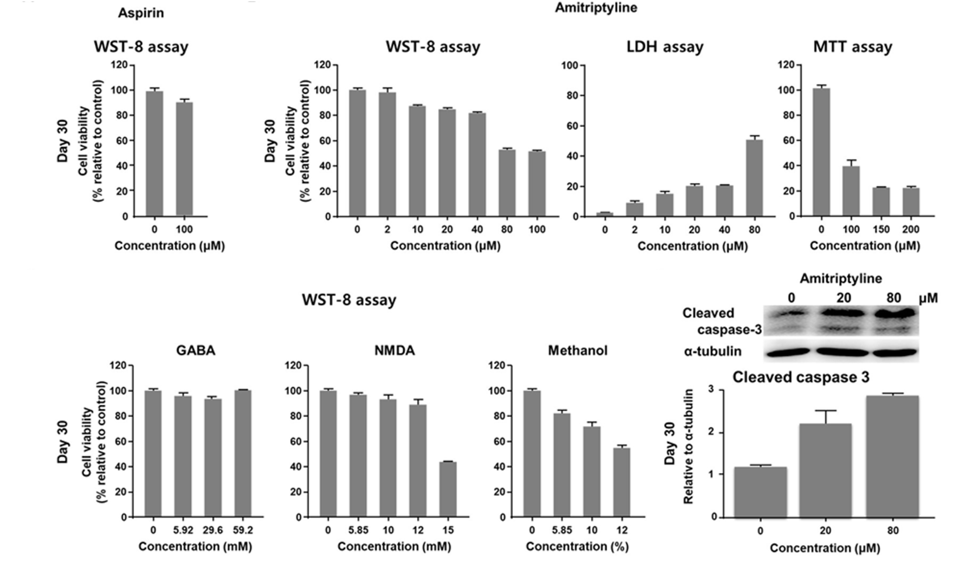 WST-8 assay used to evaluate cell viability