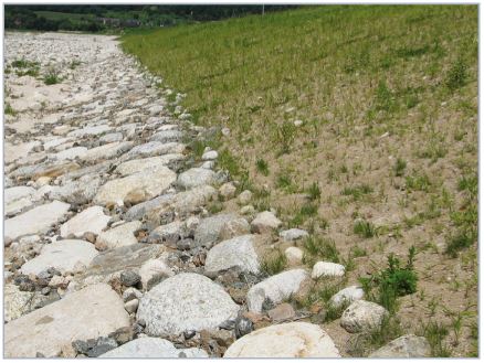 Soil loss prevention material and seed rope suppress soil erosion / promote vegetation establishment