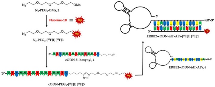 A사 Aptamer