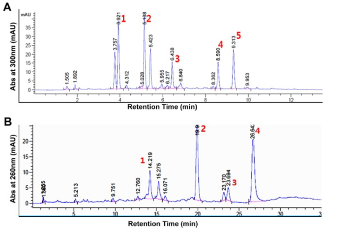 Chemical components in the SEWEAF extract using HPLC