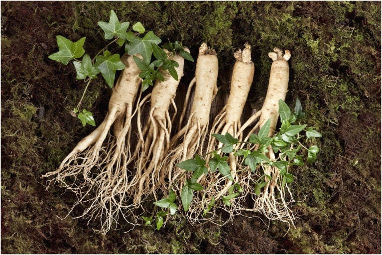 암환자를 위한 체질 항암한약