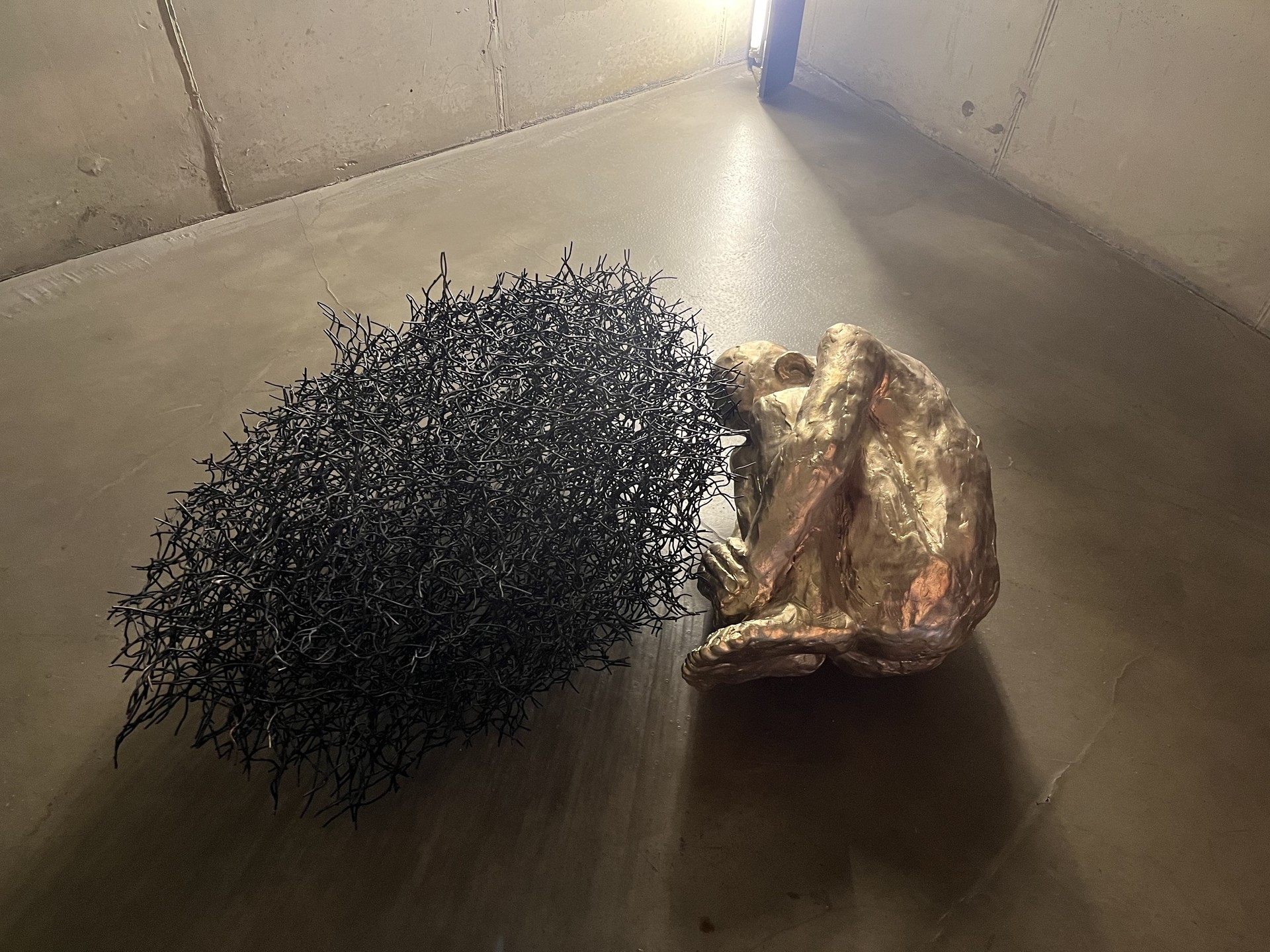 배형경, I am Forest, 2026