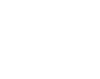 주식회사 트라이튼
