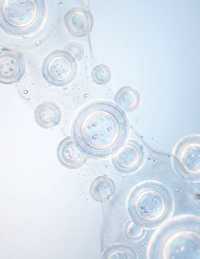 <b>줄기세포 엑소좀</b><br>Stem Cell Exosome