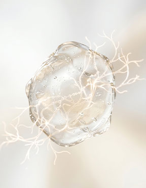 <b>베타글루칸</b><br>B-glucan