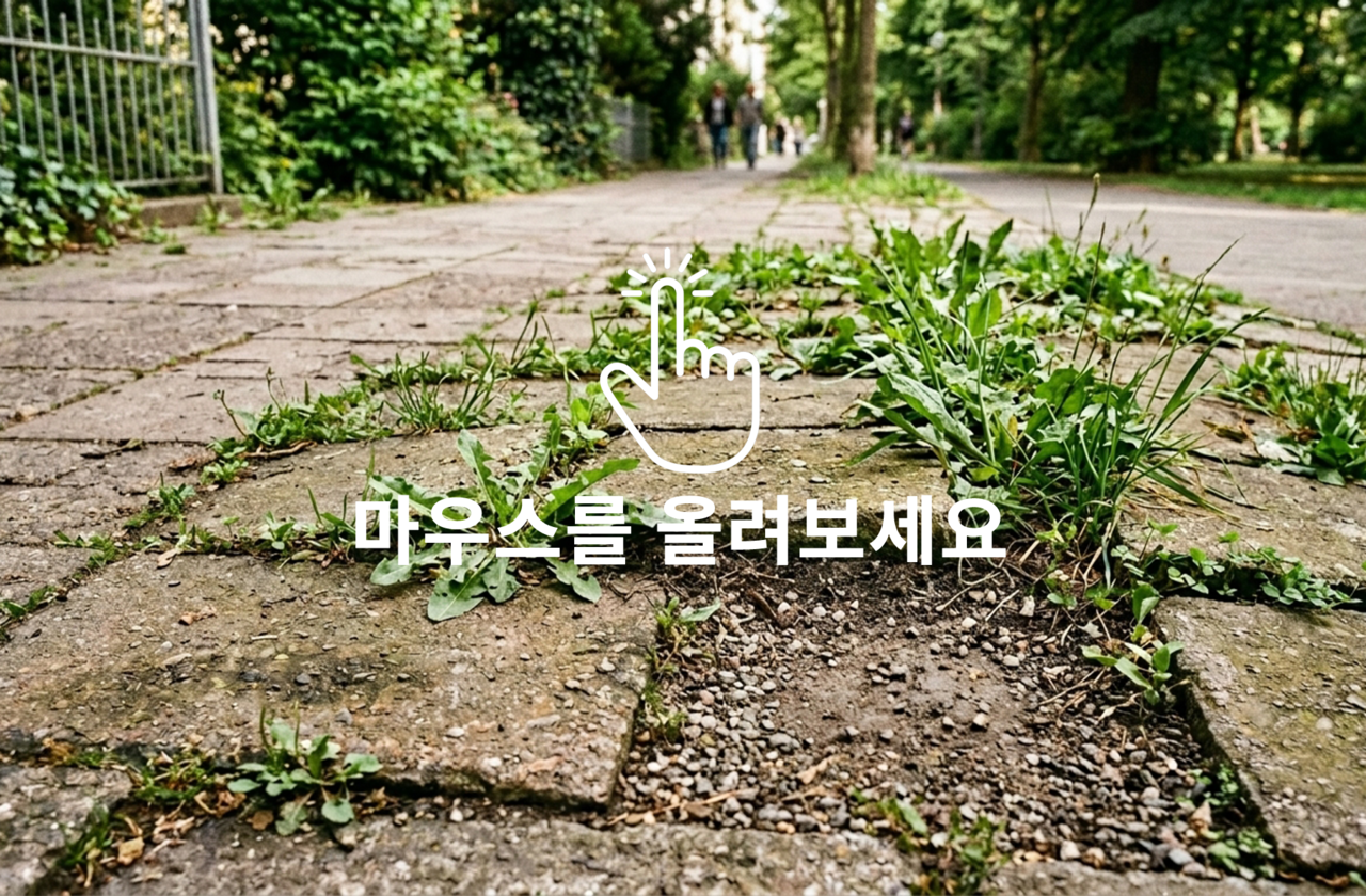<b>POUR고밀도 방초시트 시공 전/후</b>
