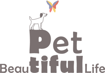 페티풀(Petiful)