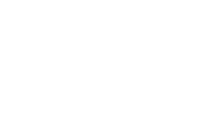 A등급 이상 특등급 히노끼 원목 유통 전문  기업