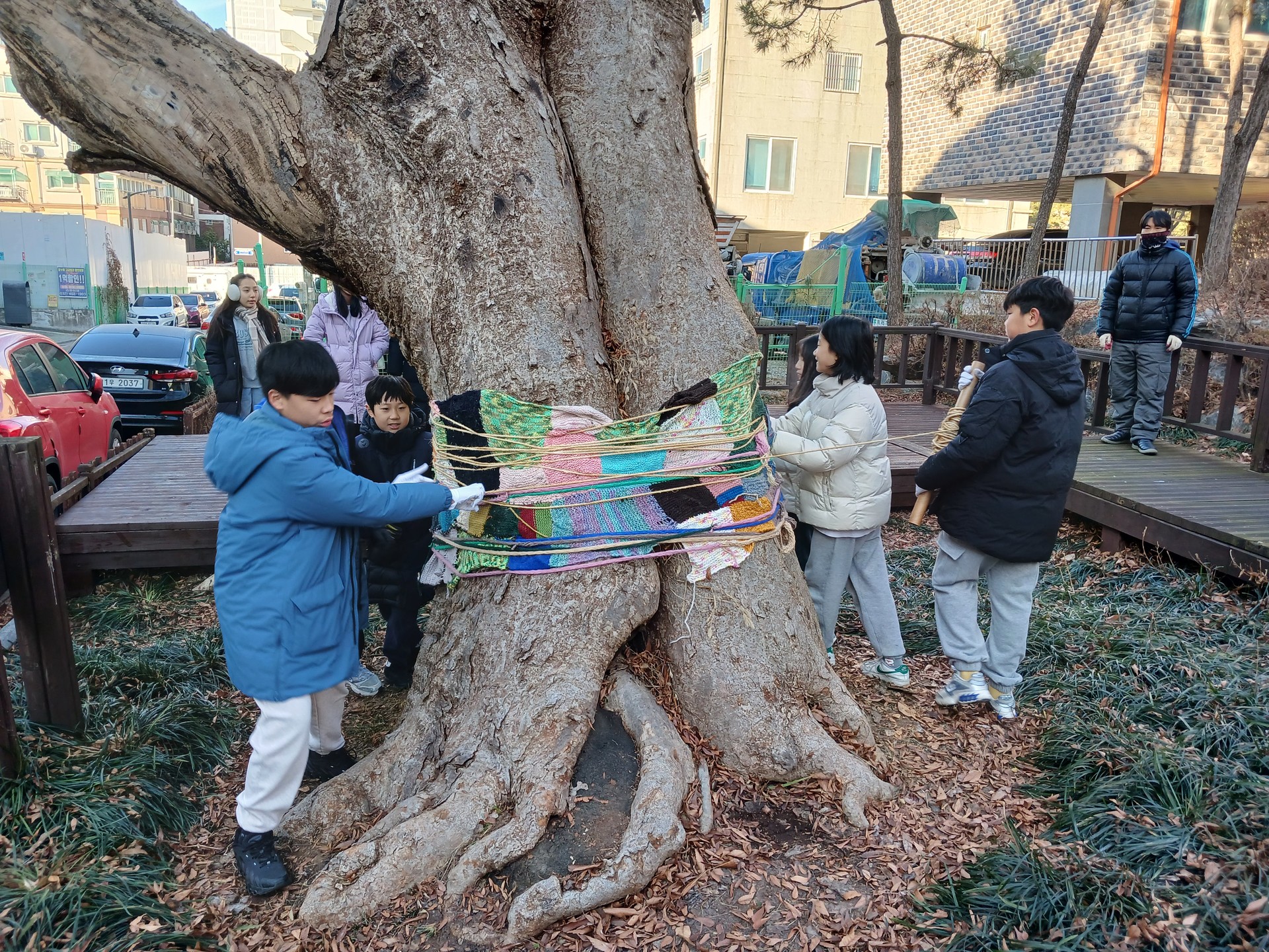 400살 넘은 장수골 느티나무