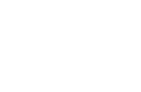 히노끼나라 편백나라