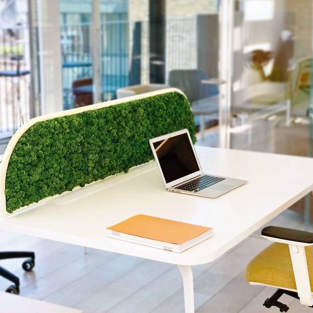 G-DESK