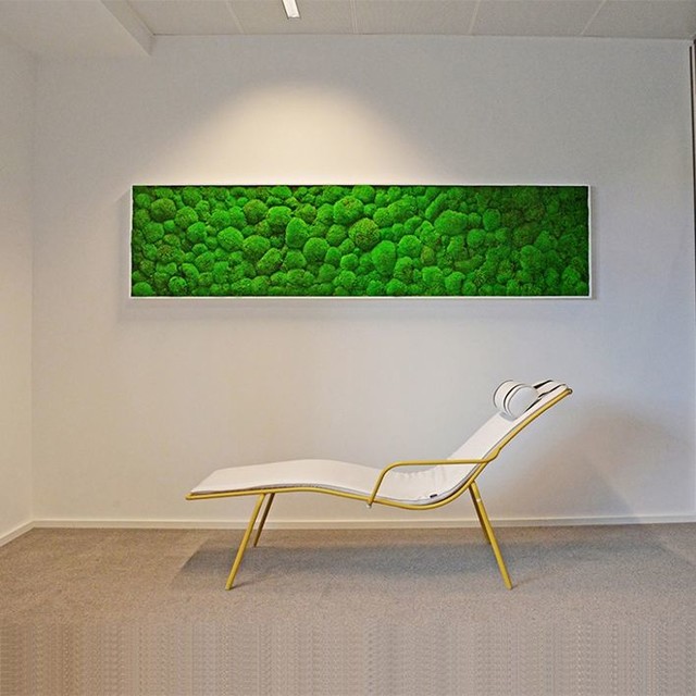 DESIGN COLLECTION