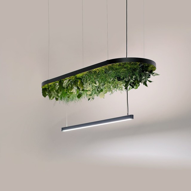 HOVERLIGHT
