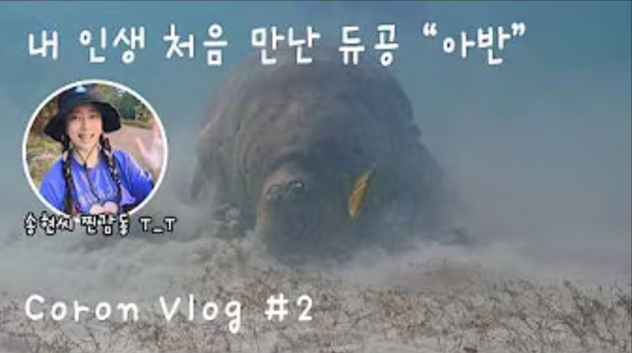 [Coron Vlog #2] Vlog of Meeting the Dugong Avan in Person _@SONGHYUNCFILM
