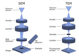 SEM VS TEM 의 차이 : 에스엔피테크