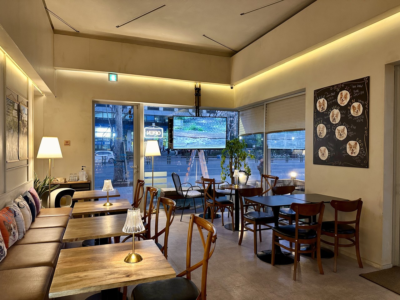 8코기네 카페 강남 매봉역점