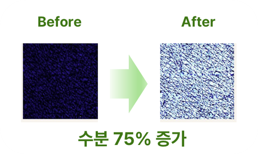<p><span style="font-size: 16px; color: #387d31;">수분 증가 확인</span></p>