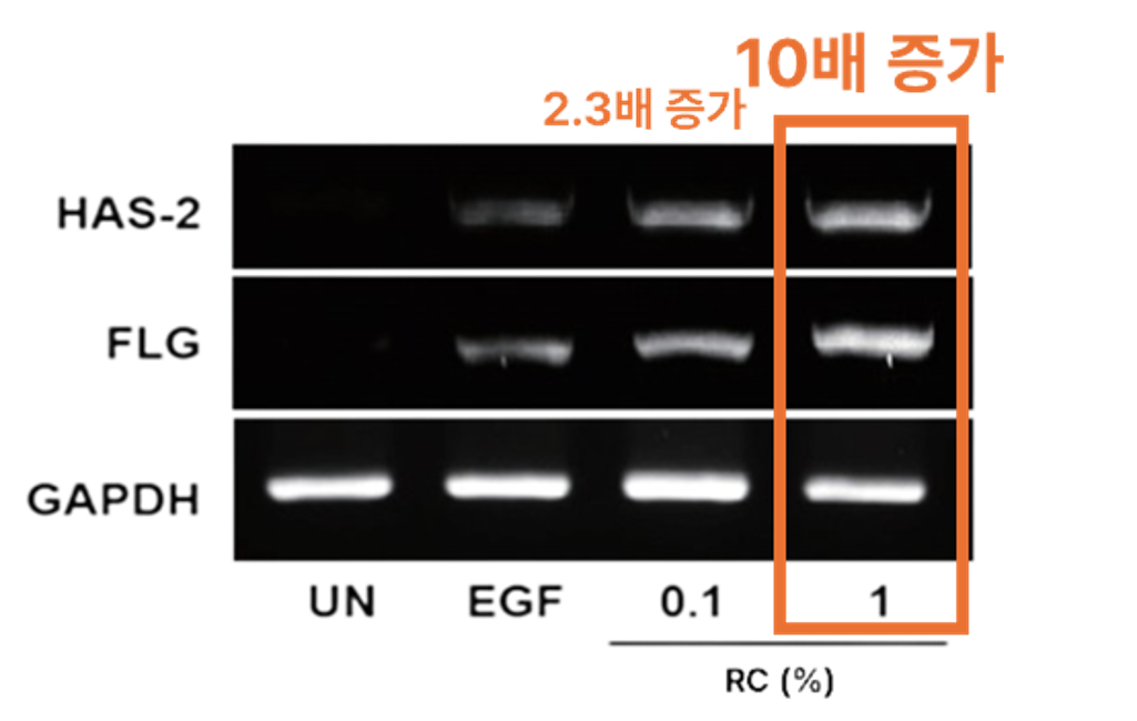 <p><span style="color: rgb(233, 113, 50); font-size: 16px;">피부 수분</span></p>