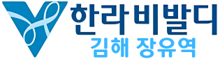 김해 장유역 한라비발디 로고