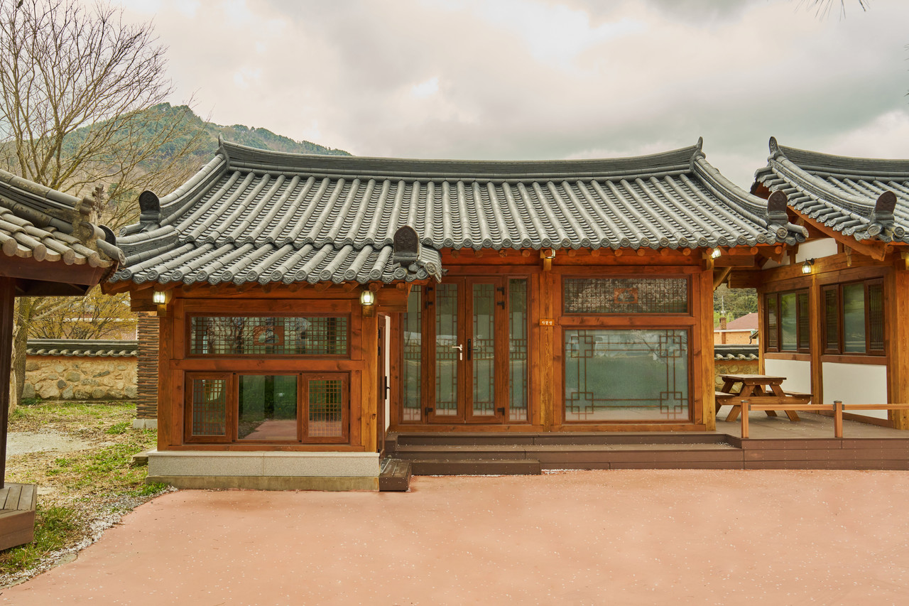 다 볕 정