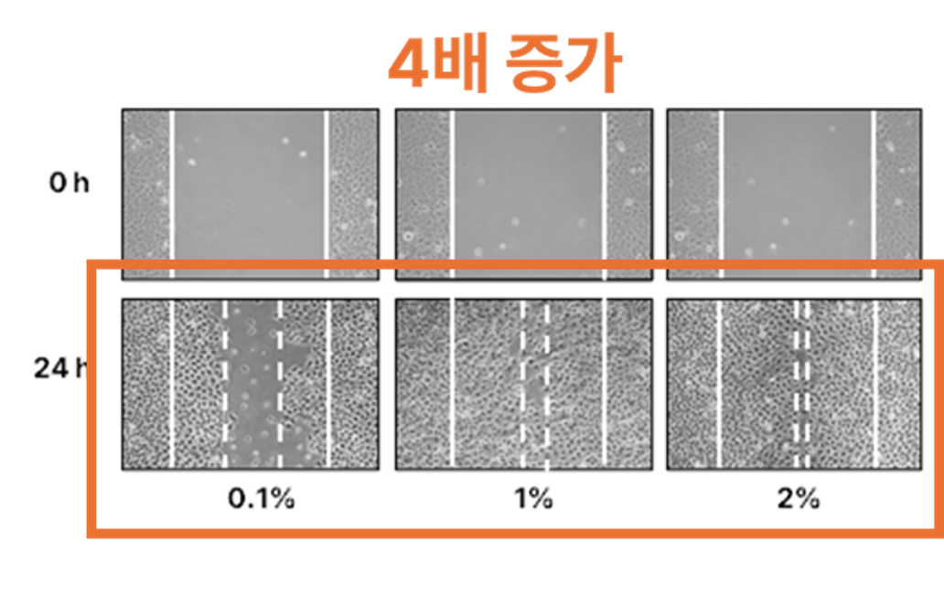 <p><span style="color: rgb(233, 113, 50); font-size: 16px;">피부 장벽 개선</span></p>