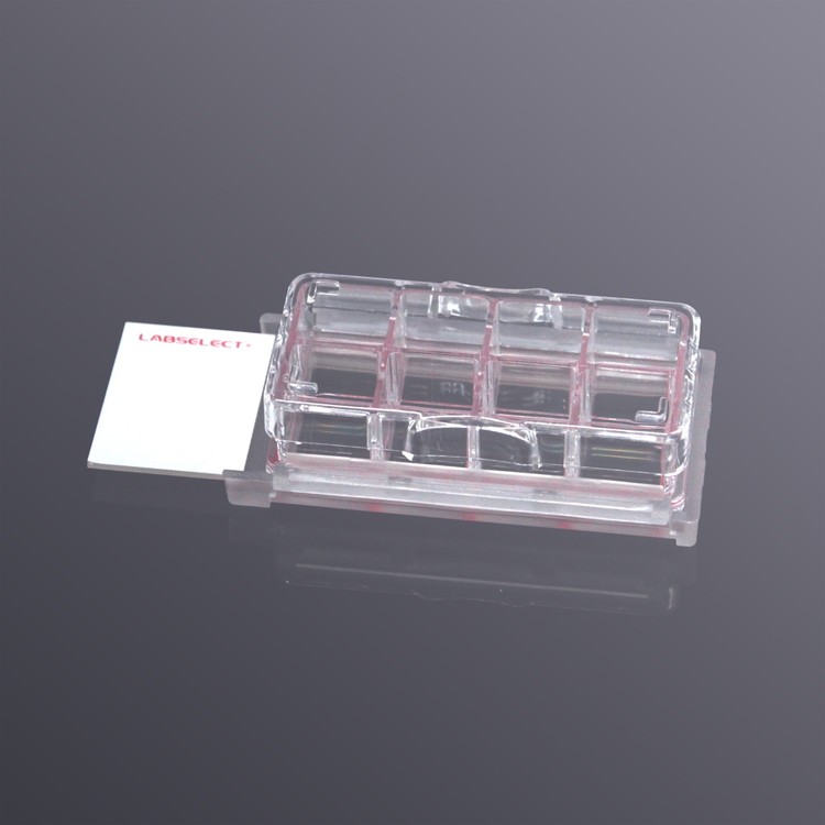 LABSELECT Chamber Slides : Infusion Tech