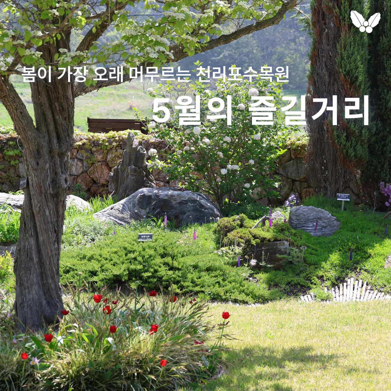 예약링크