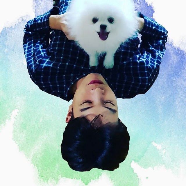 <B>신해조 
