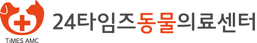 Fitto
