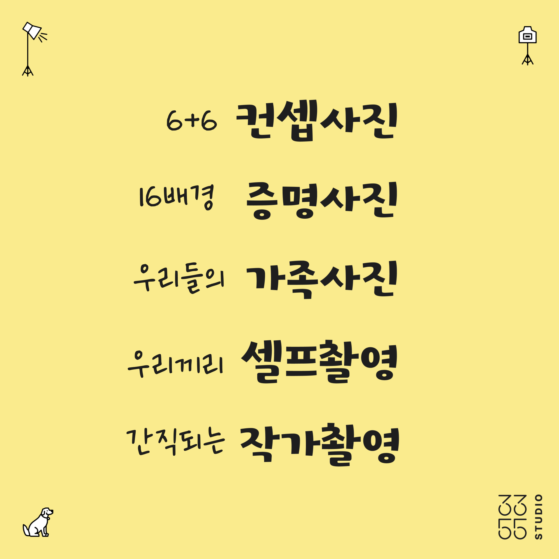 강아지 컨셉사진, 강아지 증명사진, 강아지 가족사진, 강아지 셀프사진관, 강아지 스튜디오