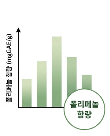 자유 라디컬 활성 측정