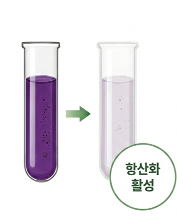 자유 라디컬 활성 측정