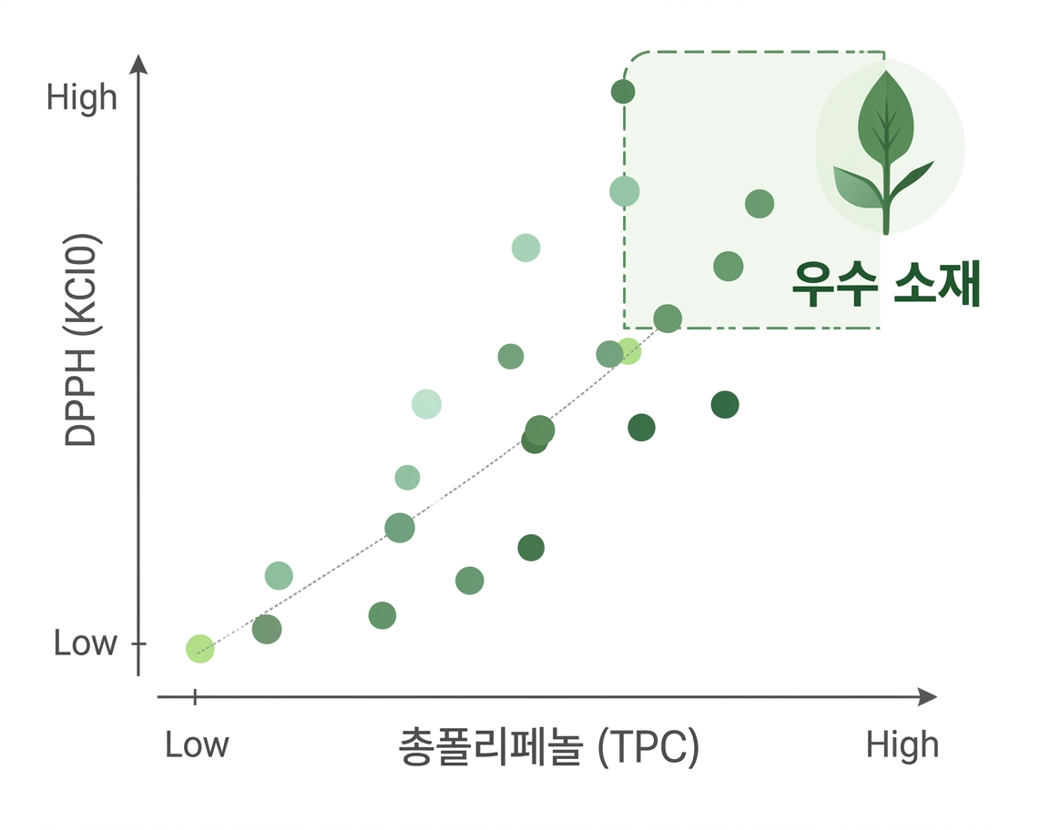 폴리페놀 총 함량 비교