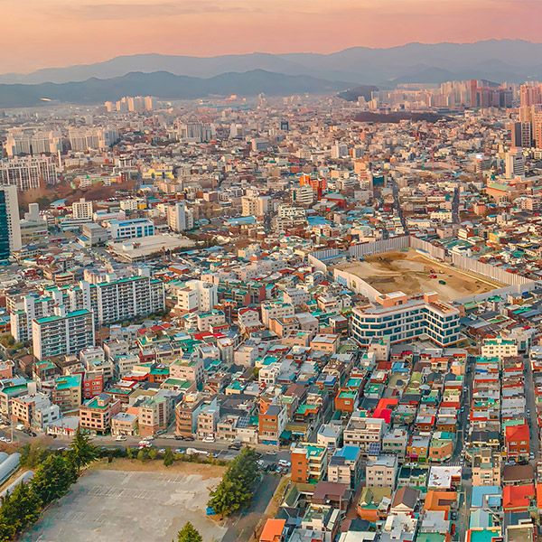 <br><h4>시니어환경대학</h4>