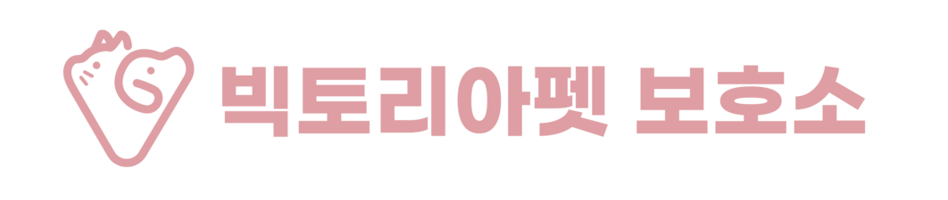 고양이보호소 강아지파양 유기견센터