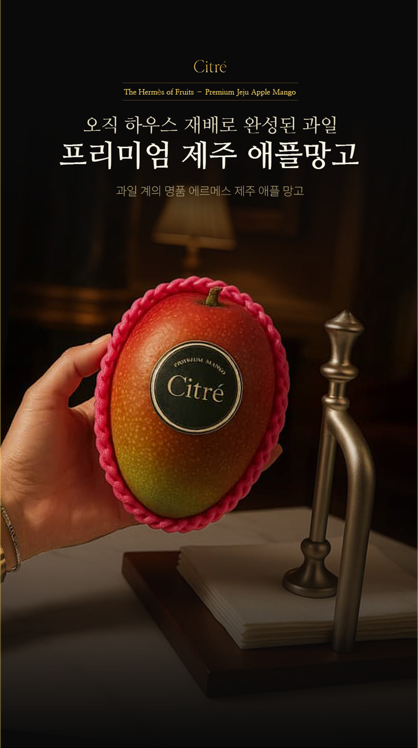 포트폴리오 9
