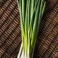 <p><span style="font-size: 24px;">Green Onion</p>대파